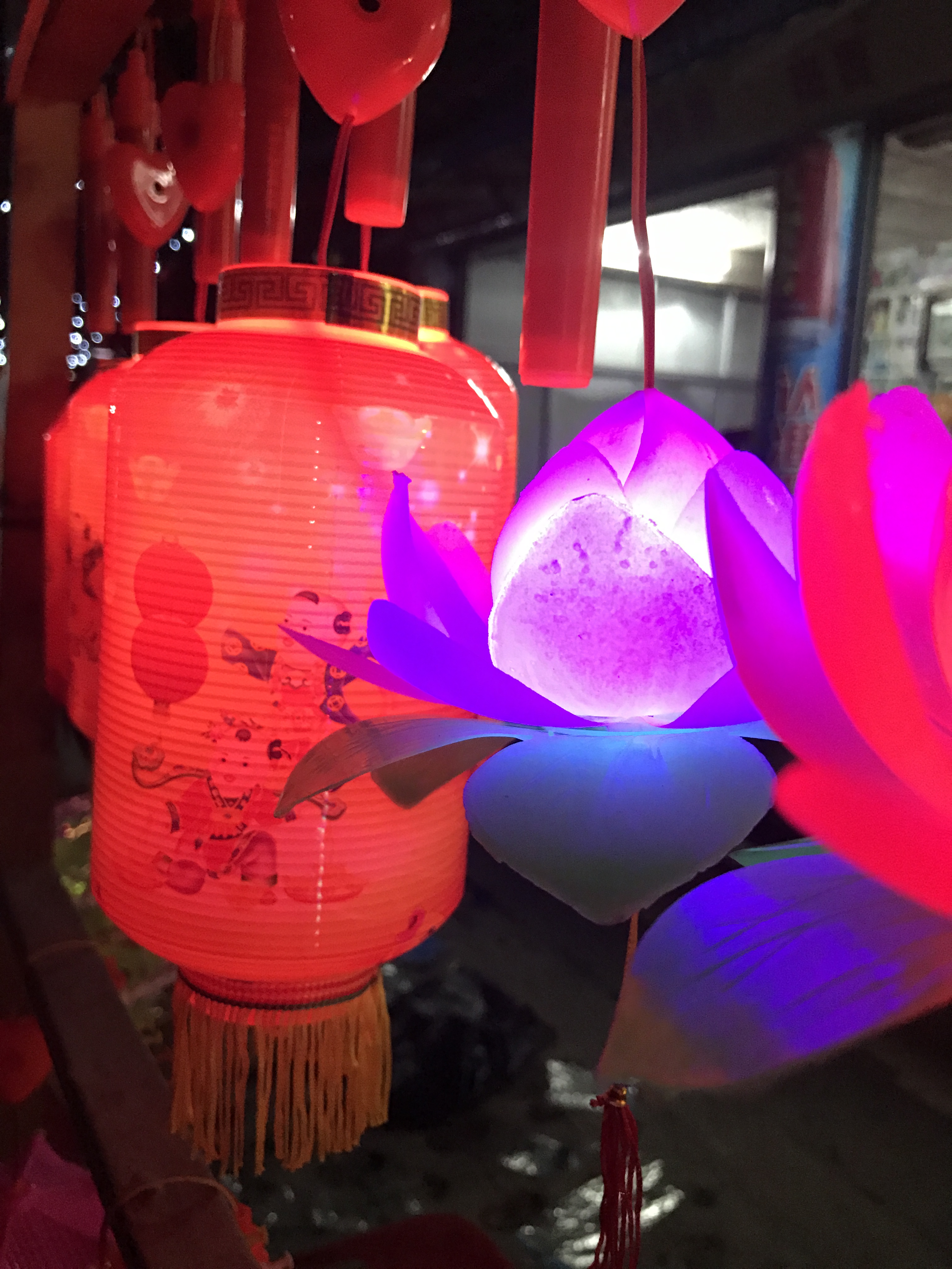 1488798914477112.jpg 10.JPG